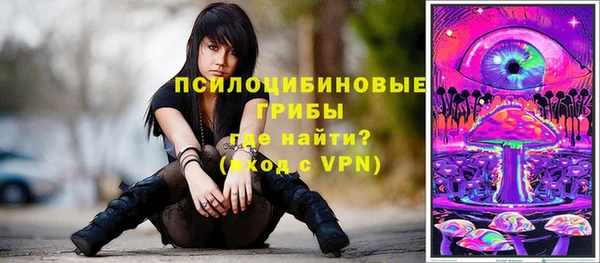 кокс Аркадак